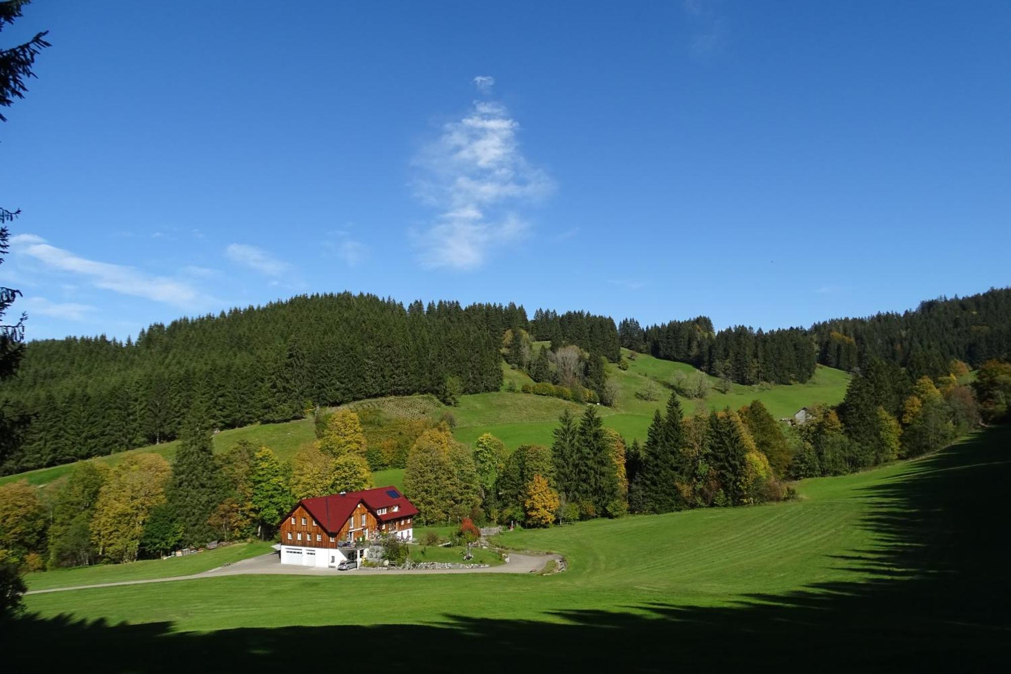 Ferienwohnung Boeck, Wengen Im Allgaeu Weitnau Exterior foto